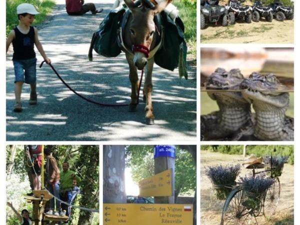 La Ferme Les Eybrachas Otel Réauville Dış mekan fotoğraf