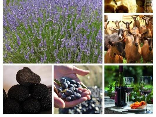 La Ferme Les Eybrachas Otel Réauville Dış mekan fotoğraf