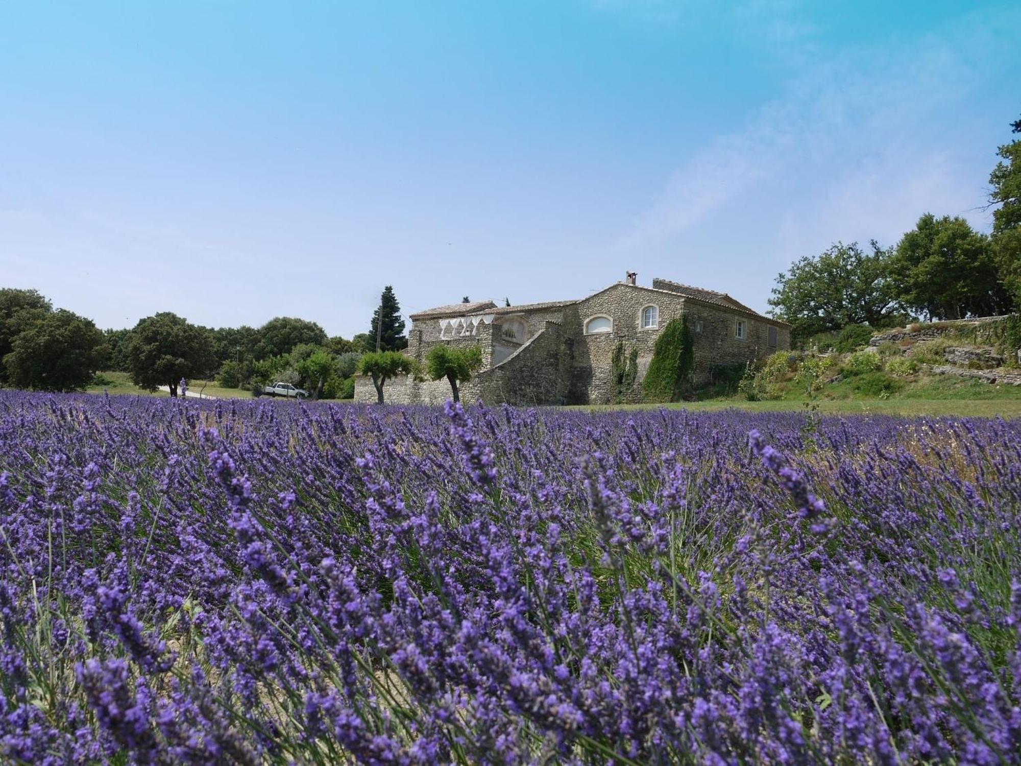 La Ferme Les Eybrachas Otel Réauville Dış mekan fotoğraf